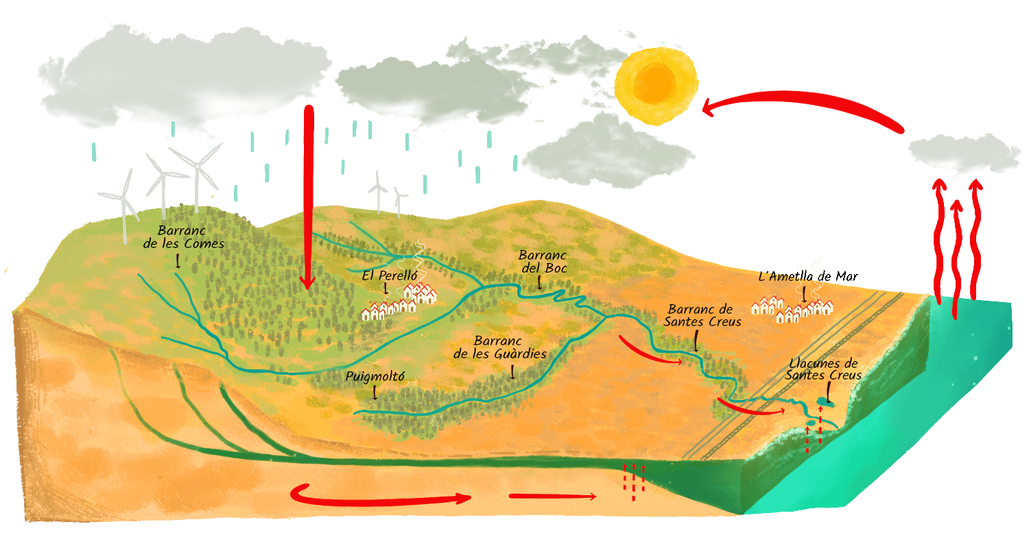 Dibuix cicle de l'aigua al Barranc de Santes Creus